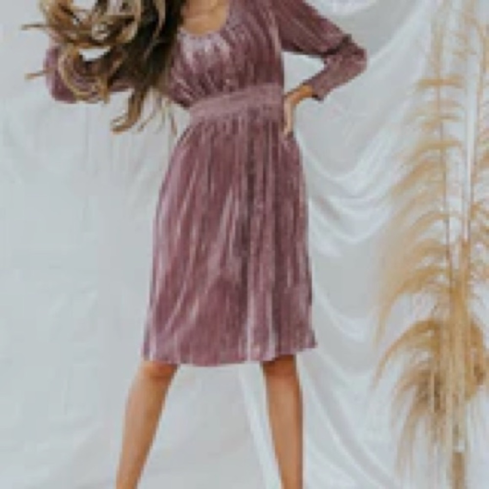 Salt by Roolee velvet dress • size S • excellent condition